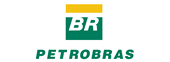 Petrobras - Instituto Ana Abreu